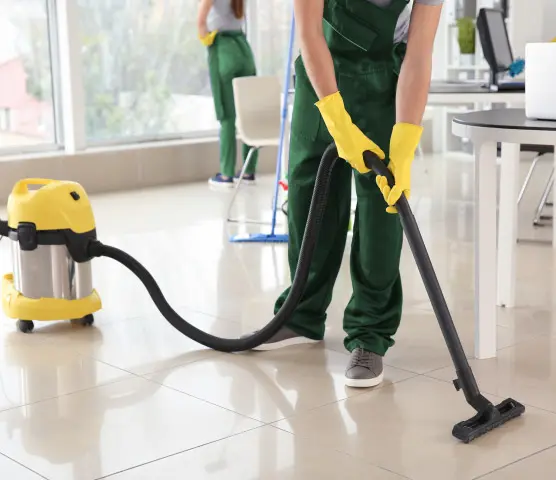 professional cleaning services
