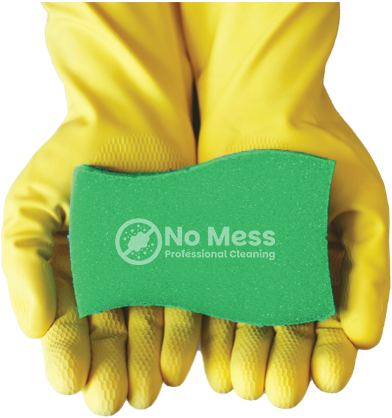 No Mess Professional Cleaning Service in Carmel